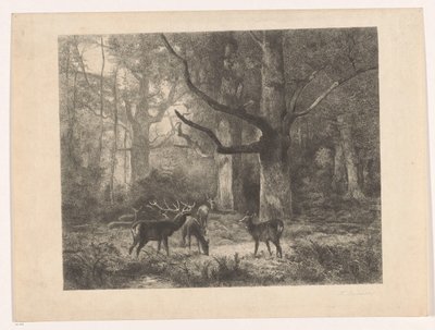 Hjorte i en skov af Karl Bodmer
