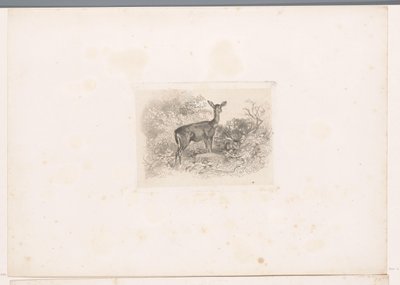 Hindu i skoven Landskaber med dyr (serietitel) af Karl Bodmer