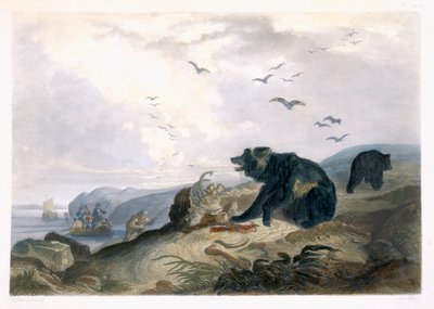 Hunting of the Grizzly Bear, plade 36 fra bind 2 af 