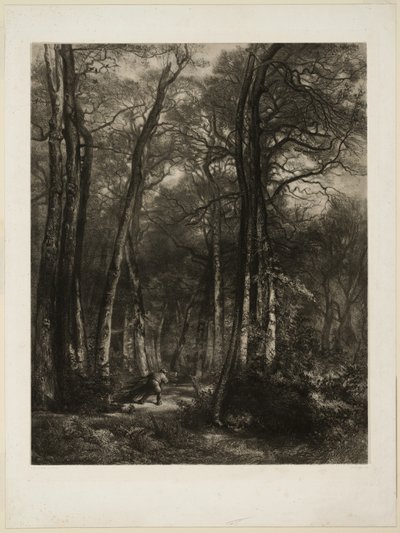 I skoven af Karl Bodmer