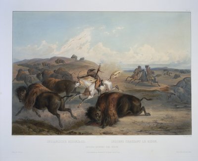 Indianere, der jager bisonerne af Karl Bodmer