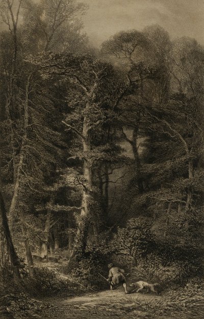 Skovens indre af Karl Bodmer