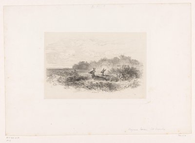 Landskab med to hvidhalede hjorte Landskaber med dyr (serietitel) af Karl Bodmer