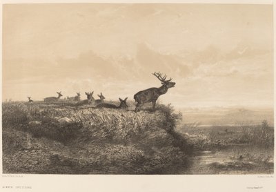 Morgenen. af Karl Bodmer
