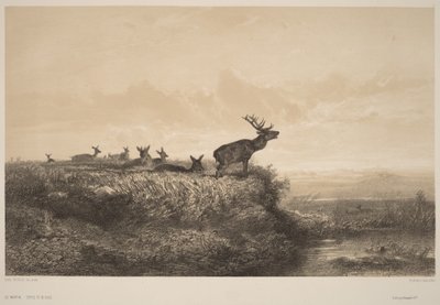 Morgenen af Karl Bodmer