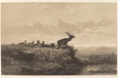 Morgenen. Hjorte og Hinder af Karl Bodmer