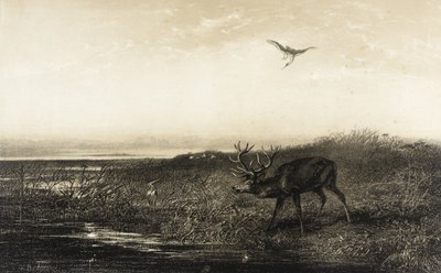  af Karl Bodmer