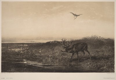  af Karl Bodmer