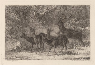 flokken af Karl Bodmer