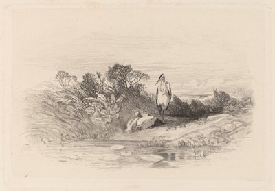 De to hejrer af Karl Bodmer