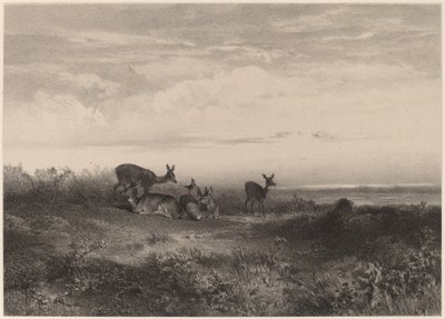 Hinderne. af Karl Bodmer