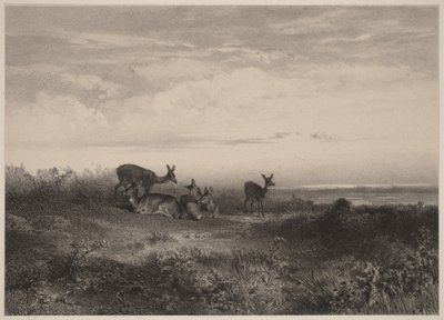Hinderne af Karl Bodmer