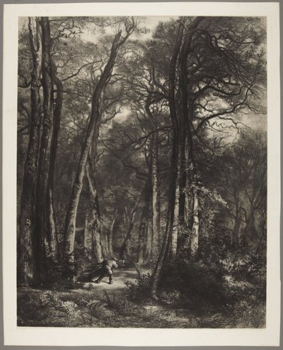  af Karl Bodmer