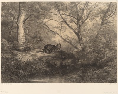 Marcassins. af Karl Bodmer