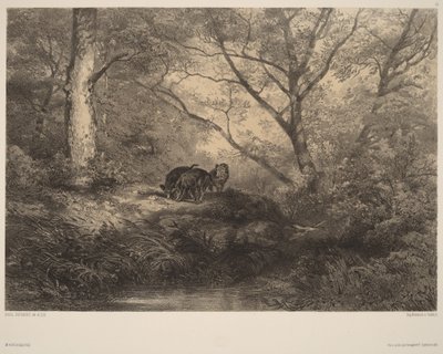 Vildsvineunger af Karl Bodmer