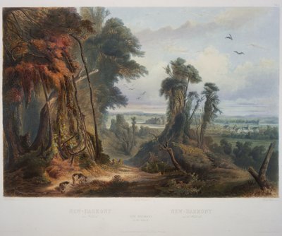 Ny Harmony på Wabash af Karl Bodmer