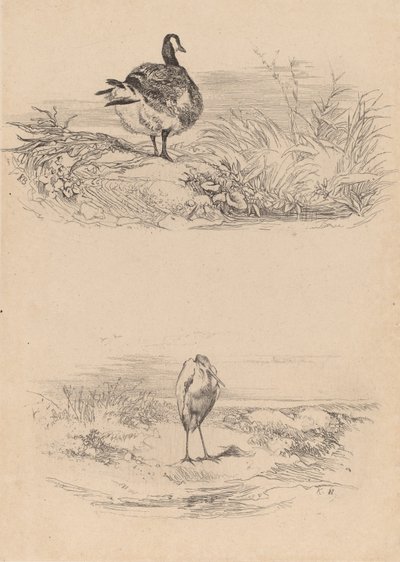 Hoi, Heron. af Karl Bodmer