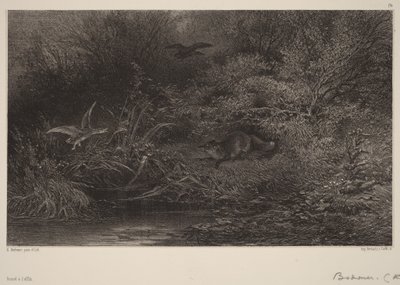 Ræv på lur af Karl Bodmer