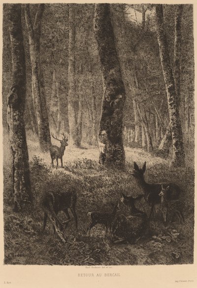 Hjem igen af Karl Bodmer