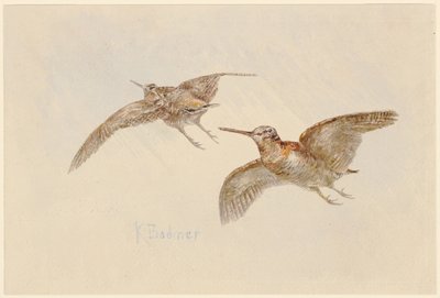  af Karl Bodmer