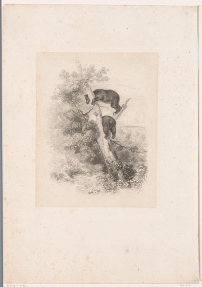 To bjørne i et træ Landskaber med dyr (serietitel) af Karl Bodmer