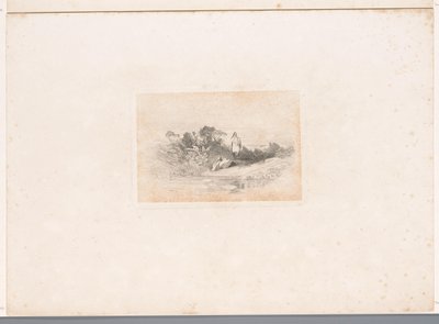 To hejrer ved havnefronten Landskaber med dyr (serietitel) af Karl Bodmer