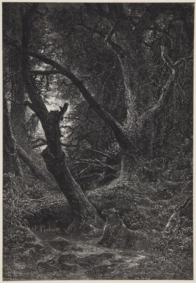  af Karl Bodmer