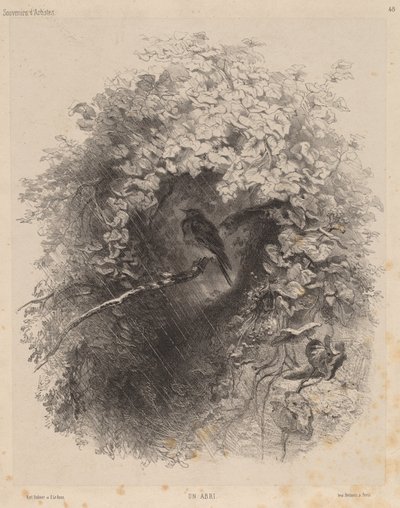 Et tilflugtssted, 1858. af Karl Bodmer