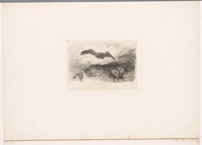 flyvende ørn Landskaber med dyr (serietitel) af Karl Bodmer