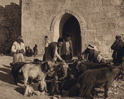 Jerusalem, marked ved Herodes port (s/h foto) af Karl Grober