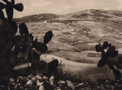 Samaria, Herodes Hippodrome (s/h foto) af Karl Grober