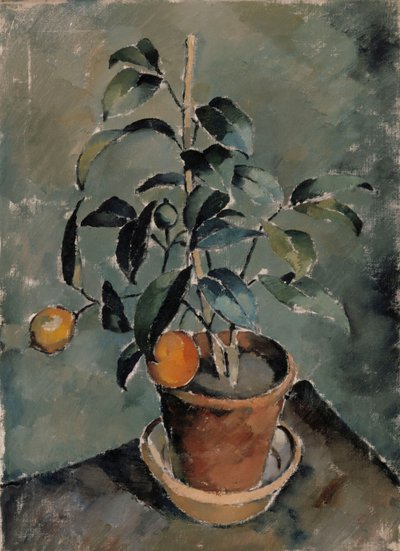 Orange plante af Karl Isakson