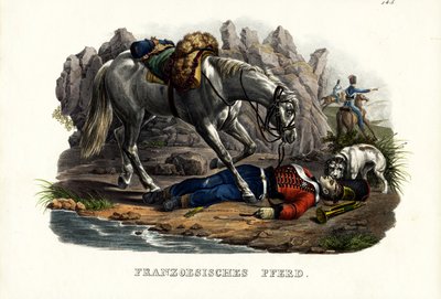 Fransk Hest, 1824 af Karl Joseph Brodtmann