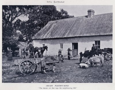 Irish Farmyard (s/h foto) af Karl Karlovich Piratsky