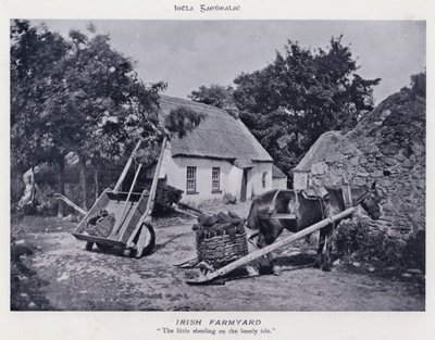 Irish Farmyard (s/h foto) af Karl Karlovich Piratsky