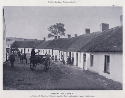 Irish Villages (s/h-billede) af Karl Karlovich Piratsky