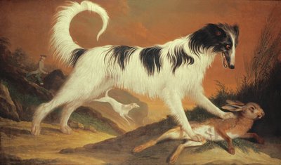 Hund og Hare af Karl Kaspar Pitz