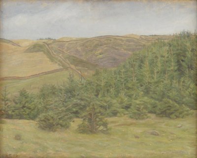 Svanninge Hills, Funen af Karl Schou