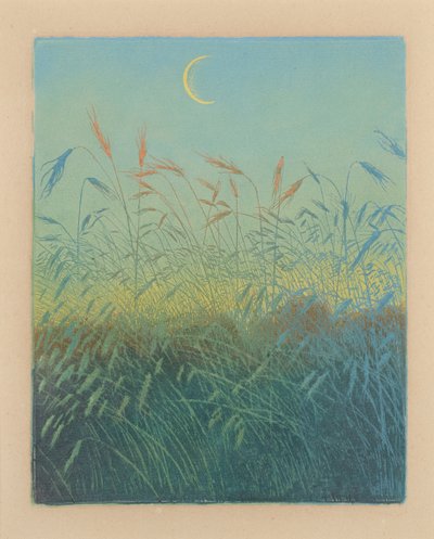 Moden kornmark: aften (Ahrendelf am Abend) af Karl Wilhelm Arthur Illies