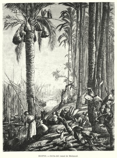 Bredden af Mahmoudiyah-kanalen, Egypten (litho) af Karl Wilhelm Gentz