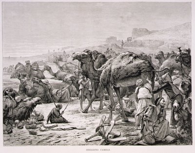Klipning af kameler af Karl Wilhelm Gentz