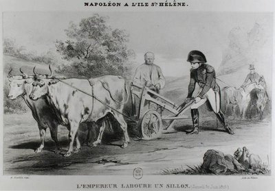 Napoleon (1769-1821) på Sankt Helena, graveret af Francois le Villain (fl.1819-22) af Karl after Loeillot-Hartwig