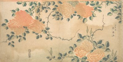 Roser, ca. 1810. af Kashosai Shunsen