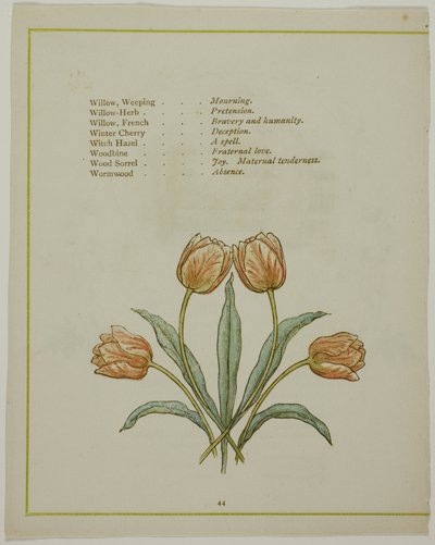 Dekorativ illustration, fra The Illuminated Language of Flowers af Kate Greenaway