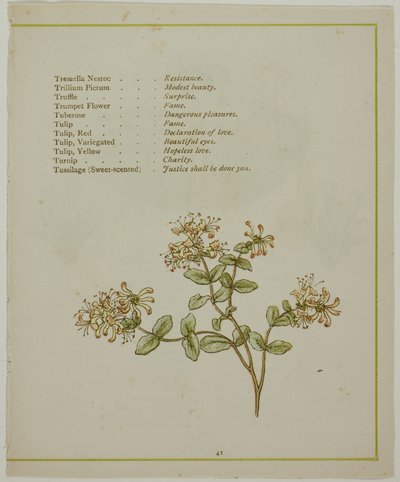 Baldrian gennem Volkamenia, fra Blomsternes oplyste sprog af Kate Greenaway