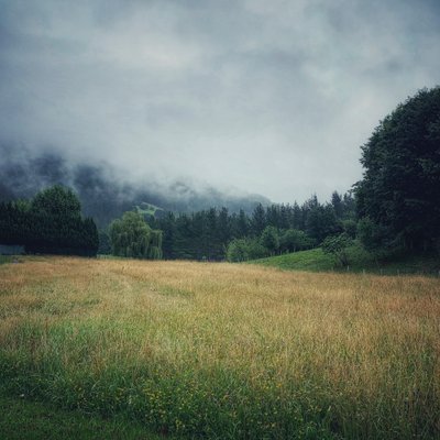 Misty Mountains, 2021 (foto) af Katha Wood