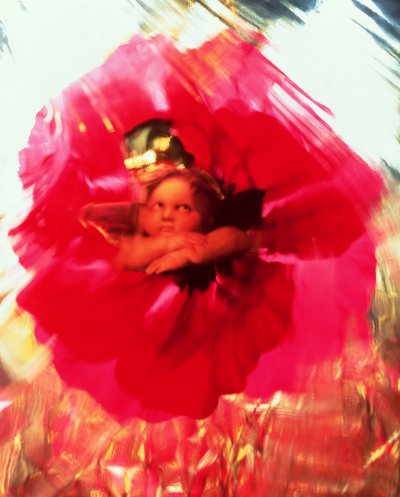 Angel og Poppy af Katherine Fawssett