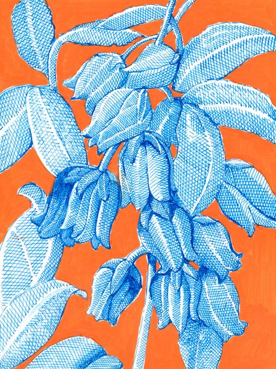  af Katie O'Shea