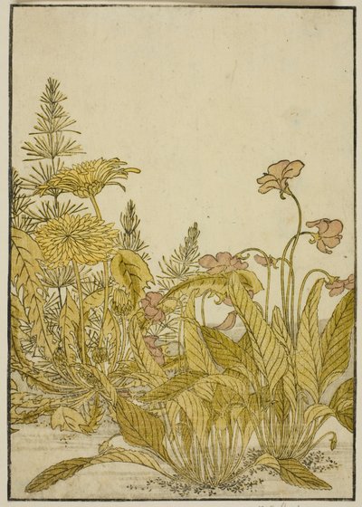 Spring Flowers: Violets and Dandelions, fra bogen "Mirror of Beautiful Women of the Pleasure Quarters (Seiro bijin awase sugata kagami)," vol. 1 af Katsukawa Shunsho