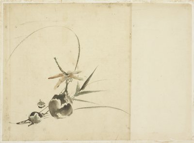 Frugtspray med Dragonfly af Katsushika (school of) Hokusai